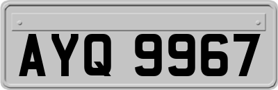 AYQ9967
