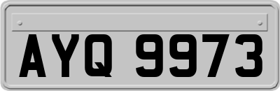 AYQ9973