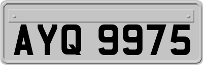 AYQ9975
