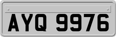 AYQ9976