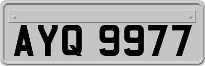 AYQ9977