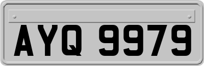 AYQ9979