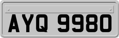 AYQ9980