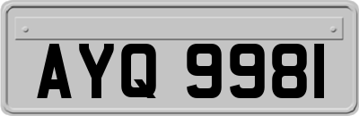 AYQ9981