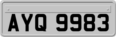AYQ9983