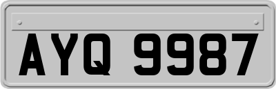 AYQ9987