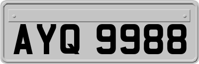 AYQ9988