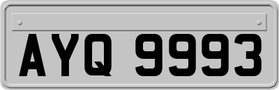 AYQ9993