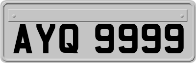 AYQ9999