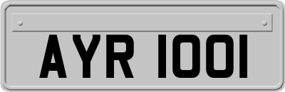 AYR1001