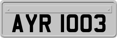 AYR1003