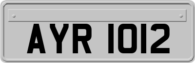 AYR1012