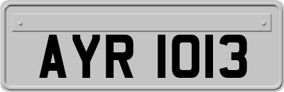 AYR1013