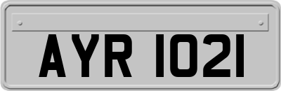 AYR1021