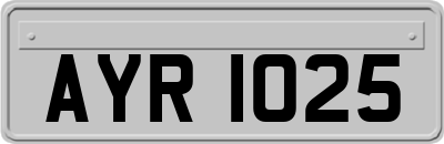 AYR1025