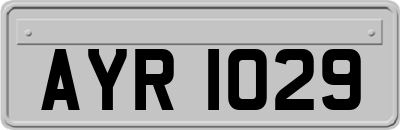 AYR1029
