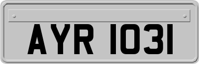 AYR1031