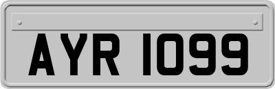AYR1099