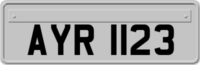 AYR1123