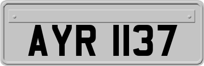 AYR1137