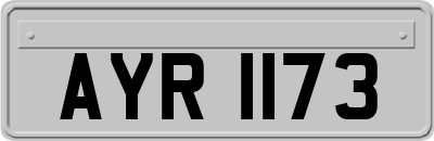 AYR1173