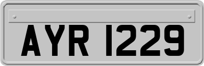 AYR1229