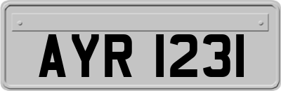 AYR1231