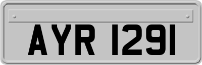AYR1291