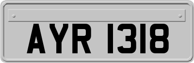 AYR1318