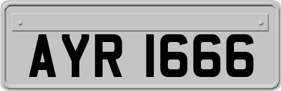 AYR1666