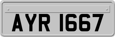 AYR1667
