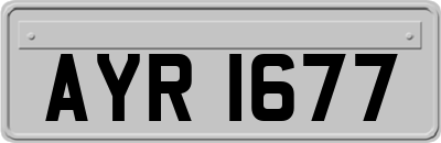 AYR1677