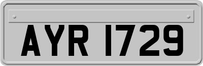 AYR1729