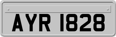 AYR1828