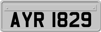 AYR1829