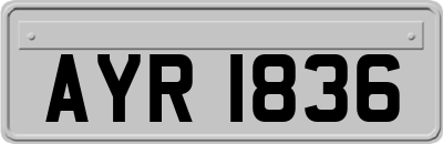 AYR1836