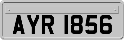 AYR1856