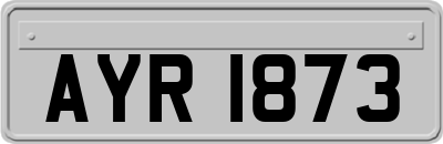AYR1873