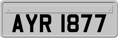 AYR1877