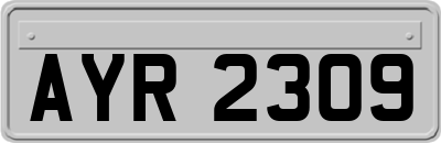 AYR2309