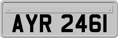 AYR2461