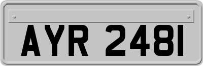 AYR2481