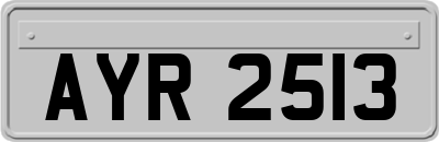 AYR2513