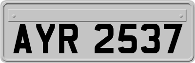 AYR2537