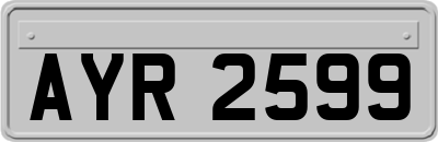 AYR2599