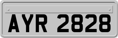 AYR2828
