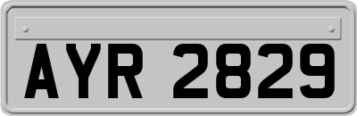 AYR2829