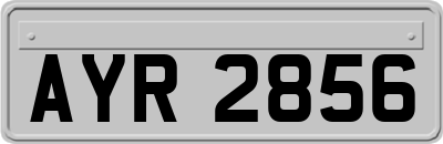 AYR2856