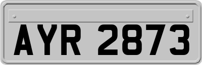 AYR2873