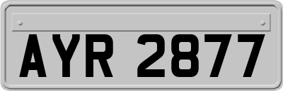 AYR2877